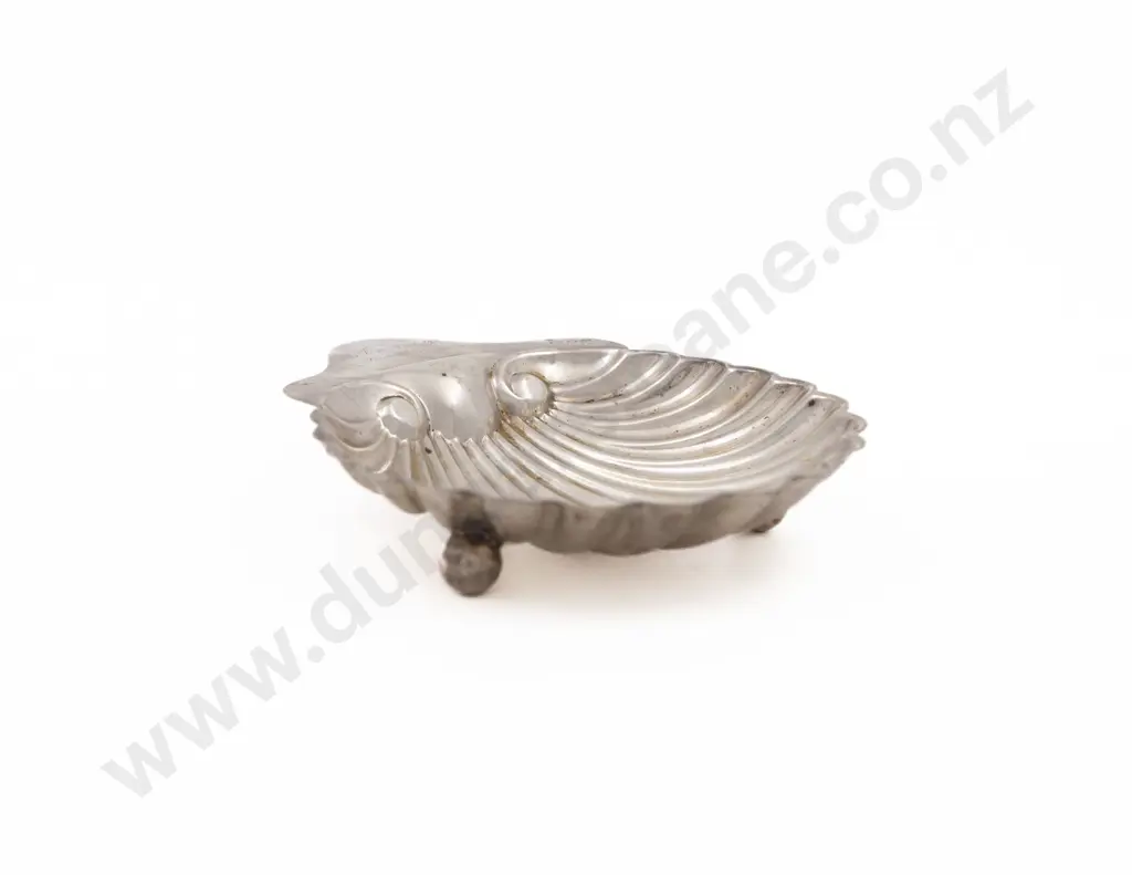 S/S Scallop Dish Image 1++