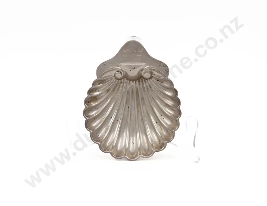 S/S Scallop Dish Image 1++