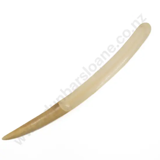Ivory Paper Folding Knife