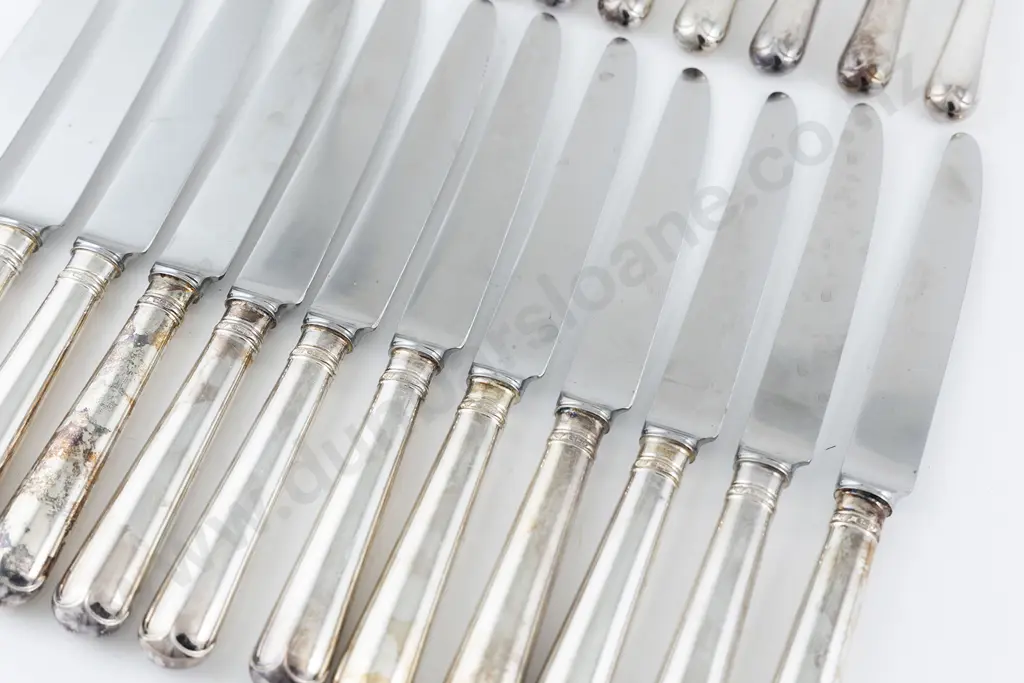 Set Of 12 QEII S/S Handled Table Knives & 12 Matching Butter/Dessert Knives Image 1++