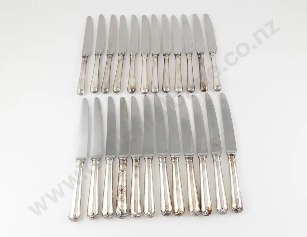 Set Of 12 QEII S/S Handled Table Knives & 12 Matching Butter/Dessert Knives Image 1++