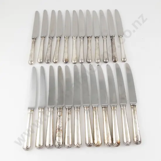 Set Of 12 QEII S/S Handled Table Knives & 12 Matching Butter/Dessert Knives