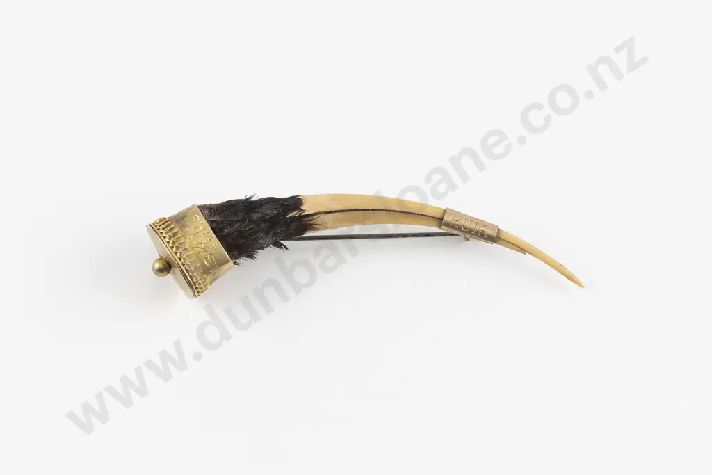 NZ Colonial 9ct Gold Gilt Mounted Huia Beak Brooch Image 1++
