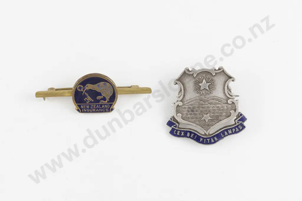 Australia Silver and Enamel Presbyterian Ladies College Brooch Image 1++