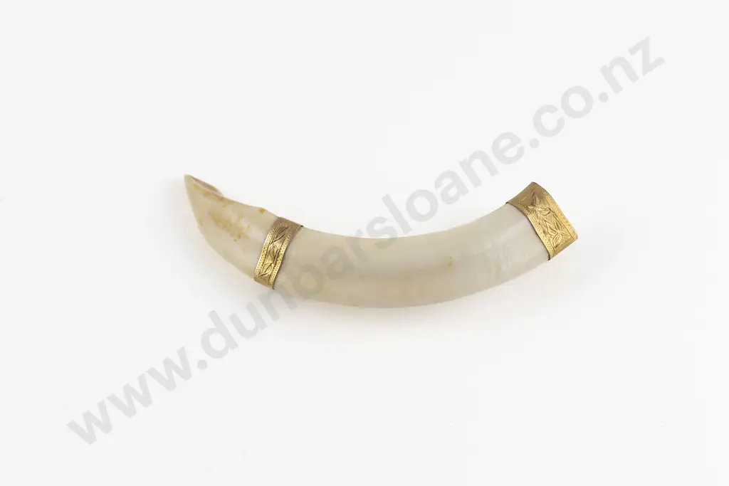 NZ 9ct Mounted Boar Tusk Brooch Image 1++