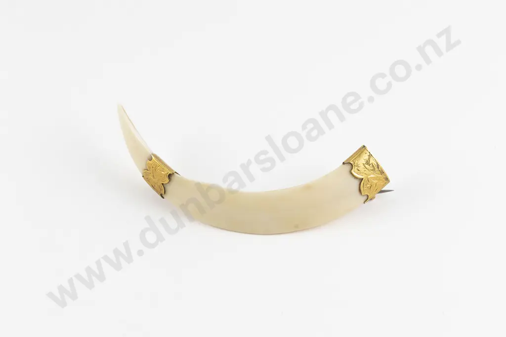 NZ 9ct Mounted Boar Tusk Brooch Image 1++