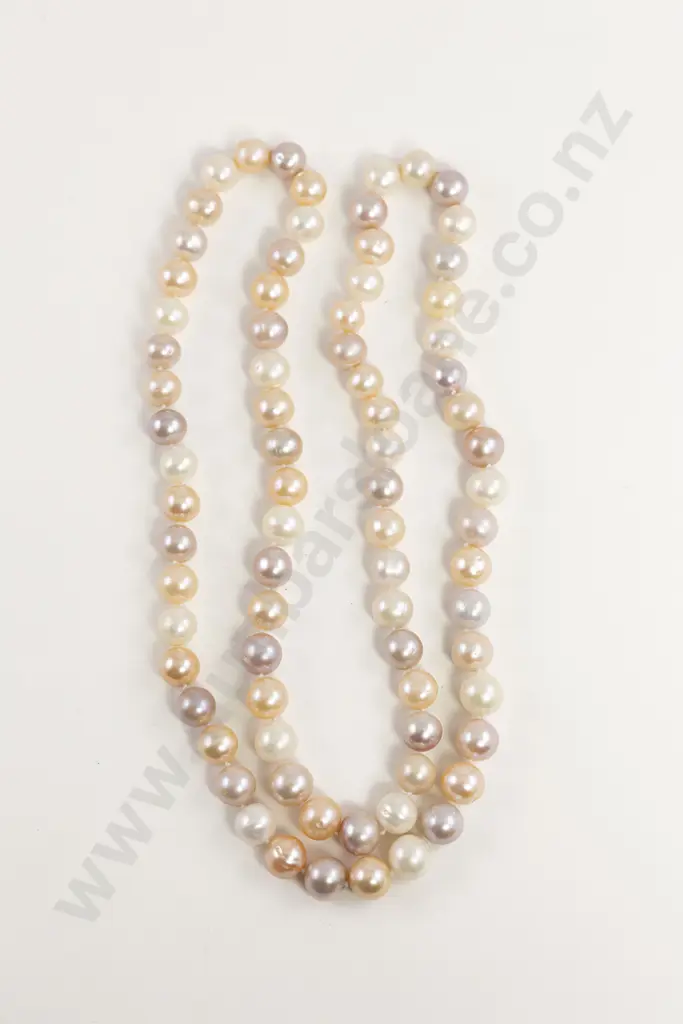Single Strand Uniform Fresh Water Multi-Coloured Pearl Necklace Image 1++