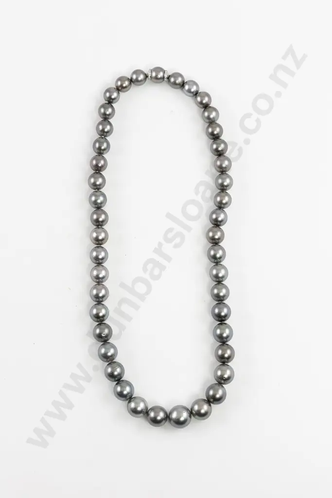 Single Strand Slightly Graduated South Seas Cultured Pearl Necklace Image 1++