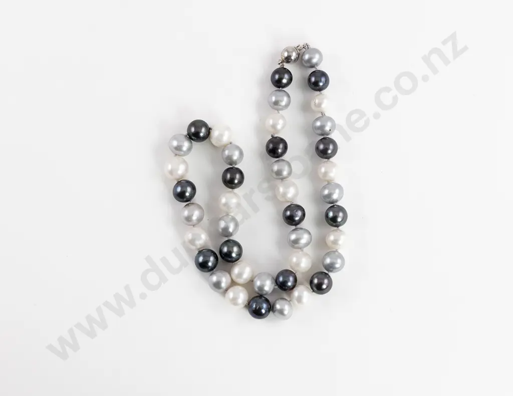 Single Strand Uniform Cultured Multi-Coloured Pearl Necklace Image 1++