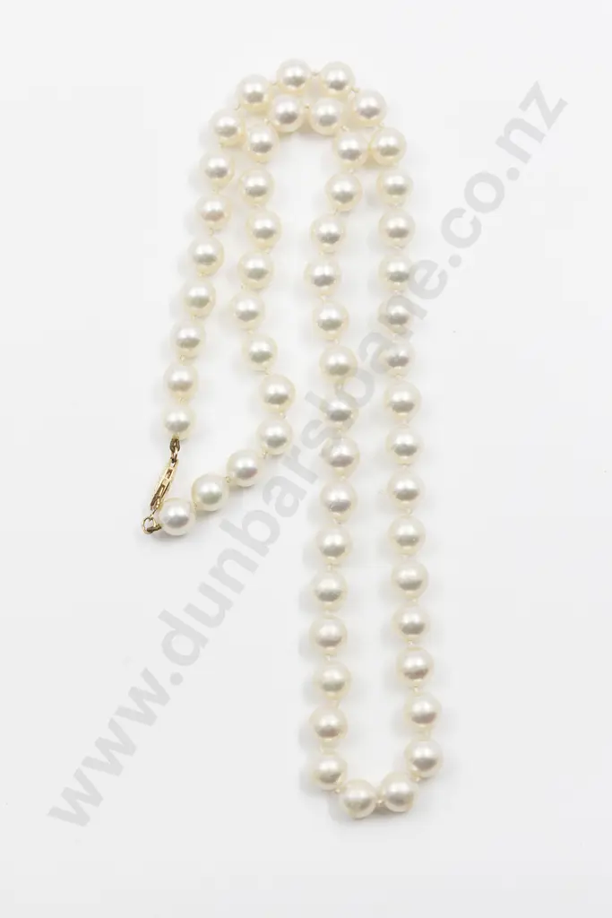 Single Strand Uniform Cultured Pearl Necklace Image 1++