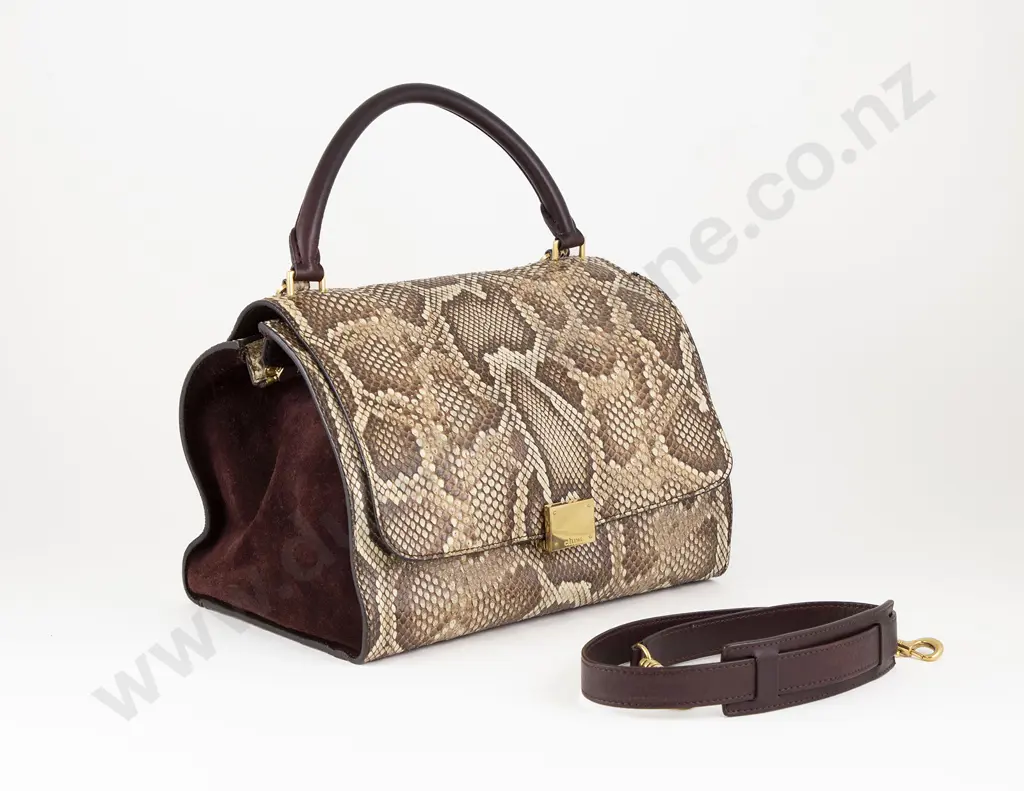 Celine Python Leather Trapeze Bag Image 1++