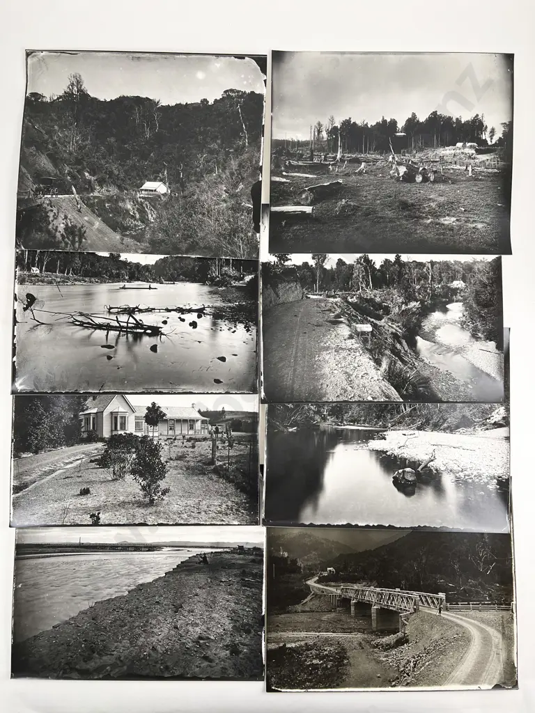 Eight Burton Bros B/W Photographic Prints with Wellington Subject & Various and assorted Image 1++