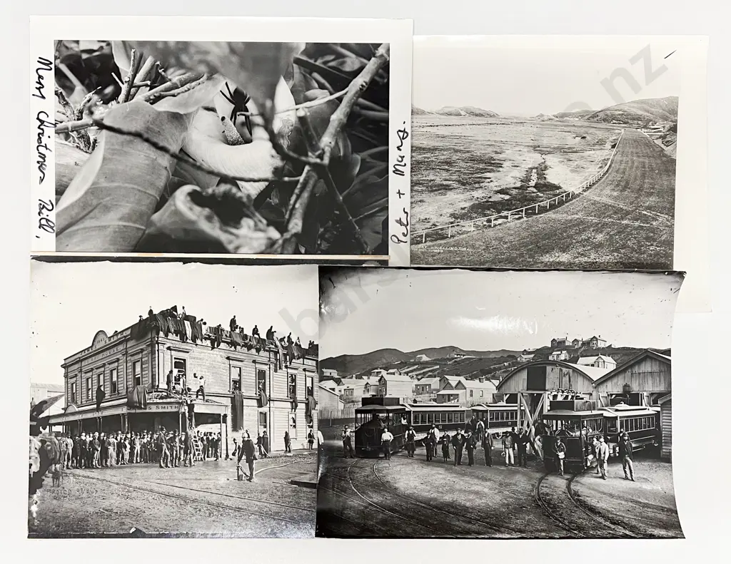 Nine Burton Bros B/W Photographic Prints with Wellington Subject & Various Image 1++