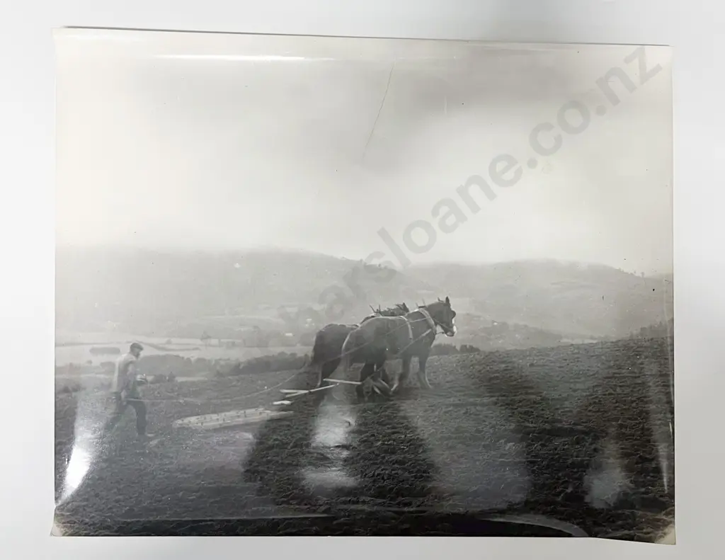 Twelve B/W Photographic Prints incl. Farm Subjects Image 1++