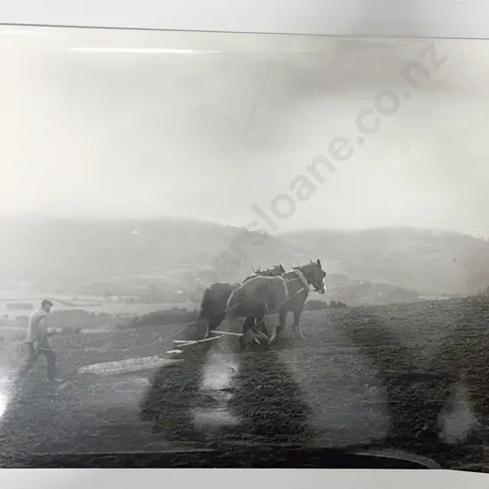Twelve B/W Photographic Prints incl. Farm Subjects