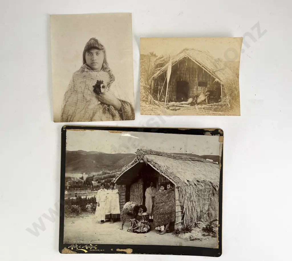 Josiah Martin Maori Portrait Period Photographic Print and two other Studies Image 1++
