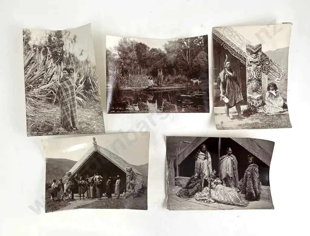 Five Muir & Moodie Burton Brothers Period Maori Study Photographic Prints Image 1++