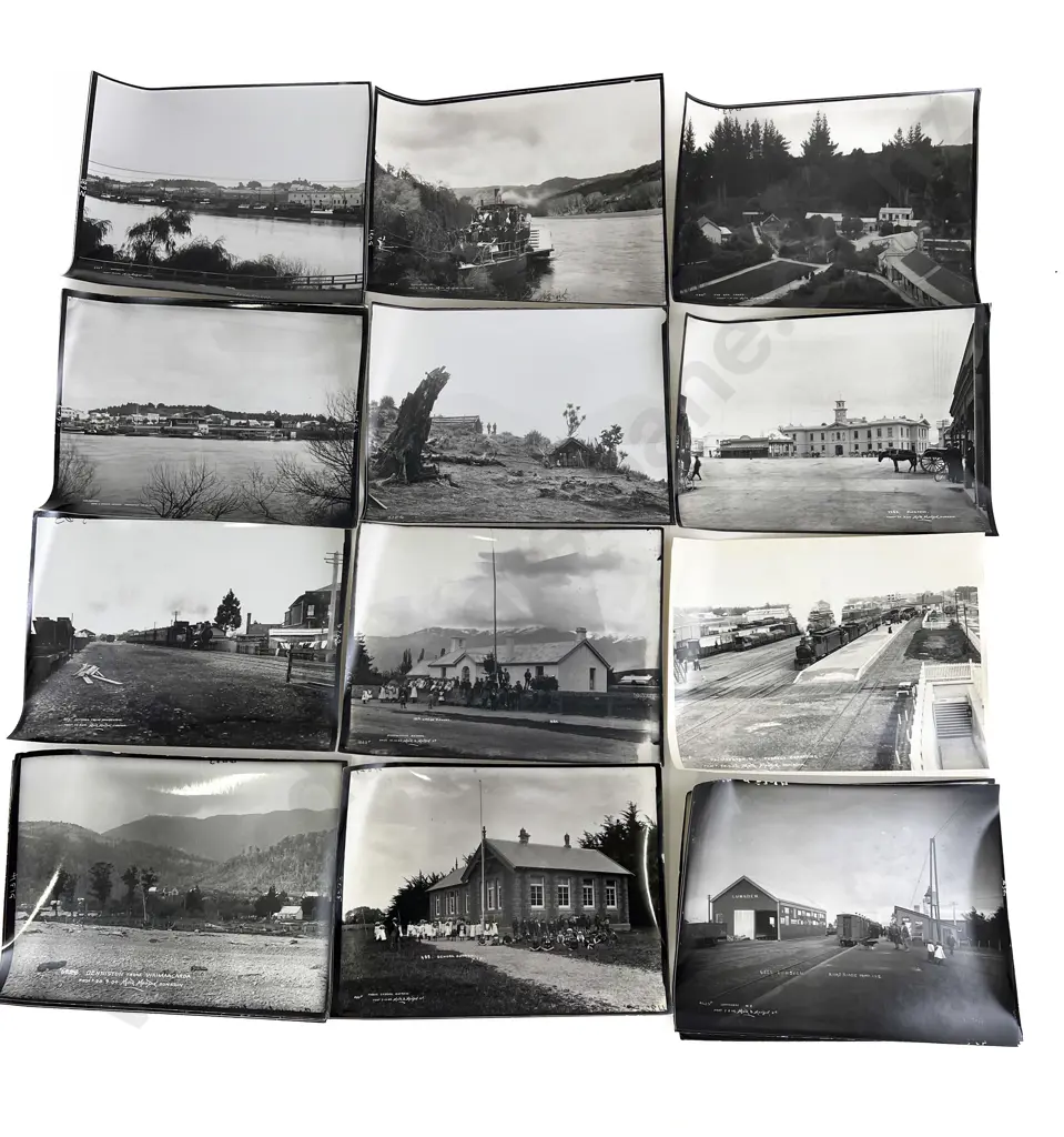 Collection Dominion Museum New Zealand North and South Island Reproduced Prints Image 1++