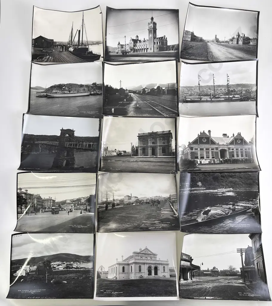 Collection Dominion Museum New Zealand North and South Island Reproduced Prints Image 1++