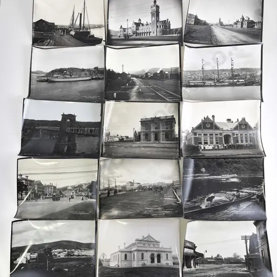 Collection Dominion Museum New Zealand North and South Island Reproduced Prints
