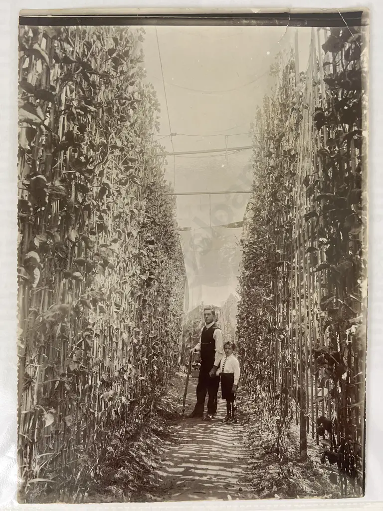Collection 15 Period Photographic Prints by Muir and Moody and other Photographers Image 1++