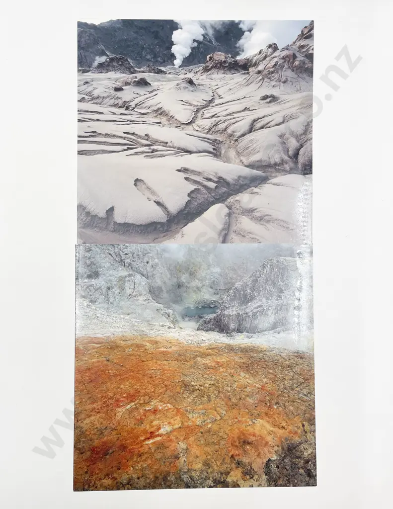 Nine Colour Photographic Prints by Brian Enting and Assorted other works Image 1++