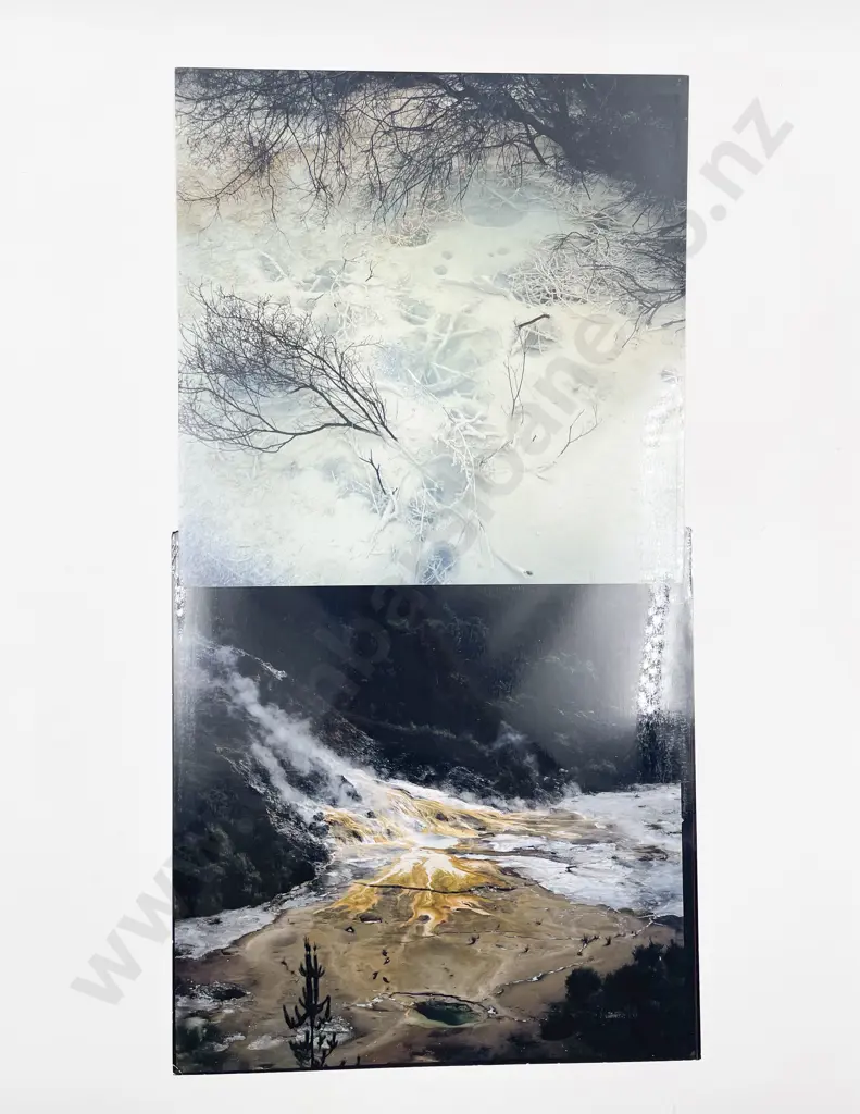 Nine Colour Photographic Prints by Brian Enting and Assorted other works Image 1++