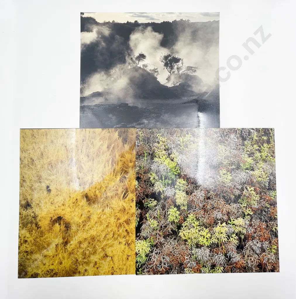 Nine Colour Photographic Prints by Brian Enting and Assorted other works Image 1++