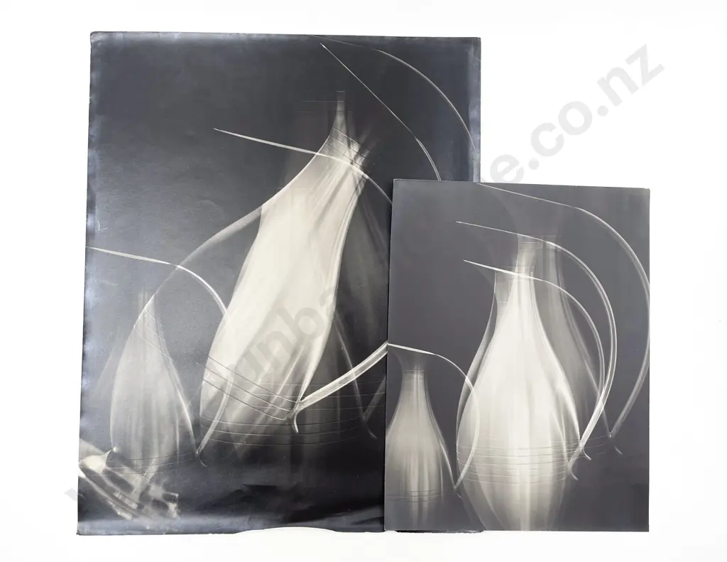 13 Greig Royle Photographic Prints Portraits Alpine and Various Image 1++