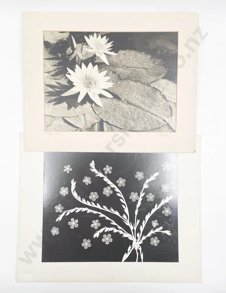 13 Greig Royle Photographic Prints Portraits Alpine and Various Image 1++