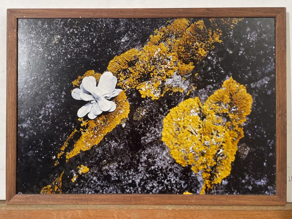 Three Frames Works Miles Hargest Andrew Ross and Greig Royle Image 1++