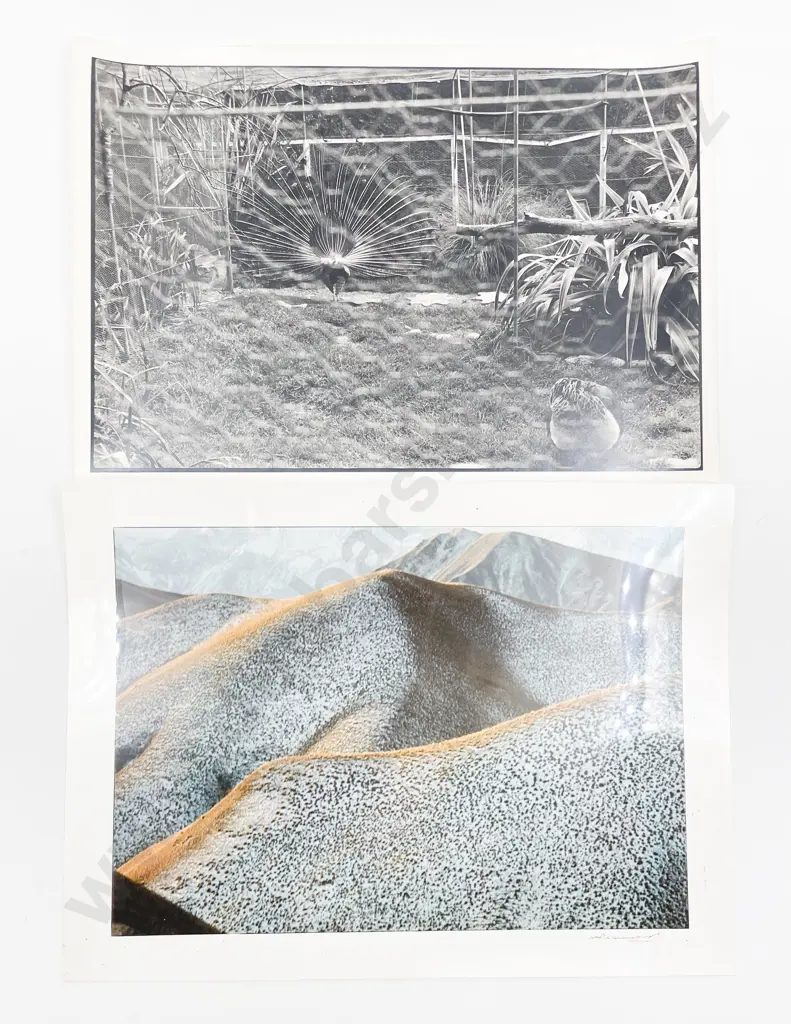 Collection of Various Photographic Prints Image 1++