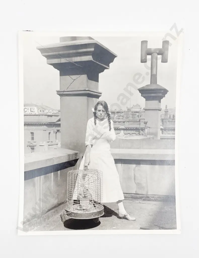 Collection of Various Photographic Prints Image 1++