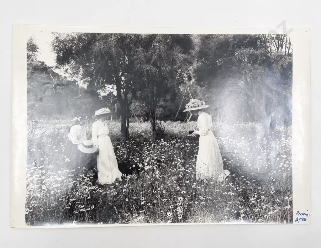 Five Large Photographic Prints and Poster Image 1++