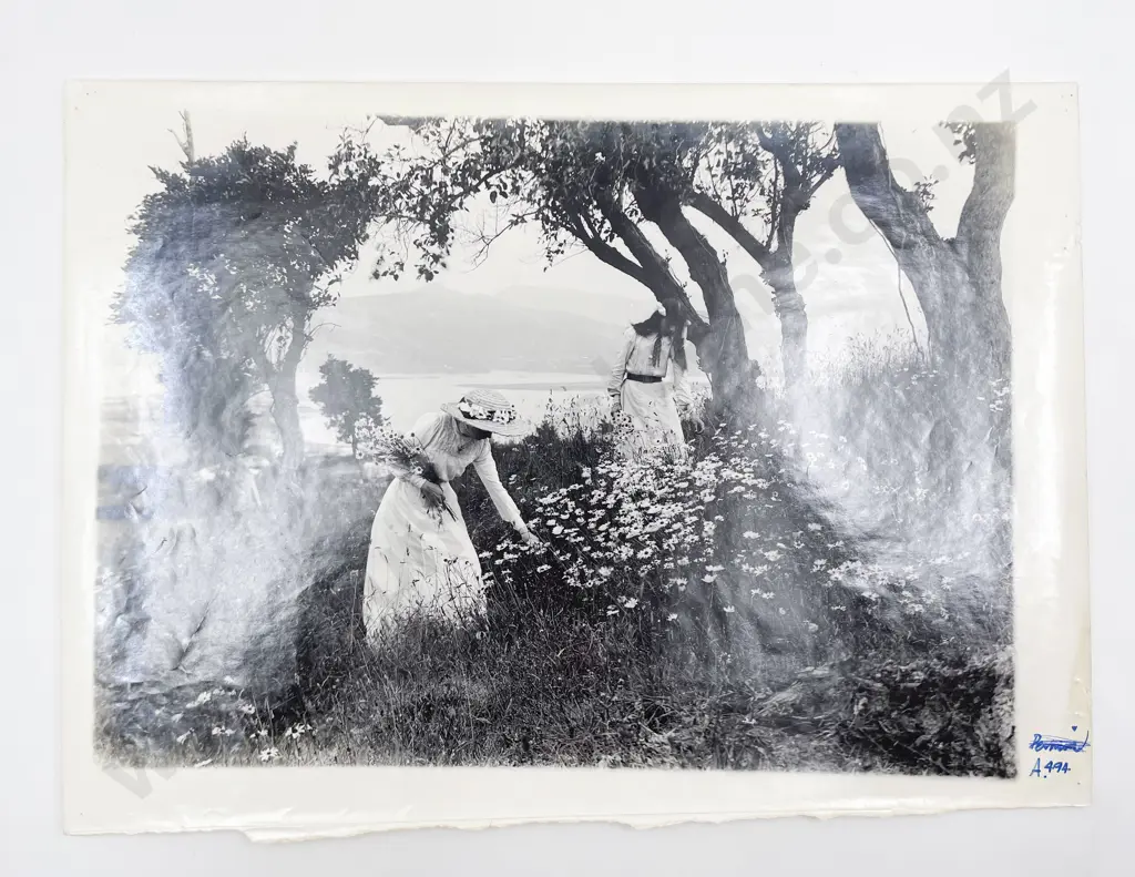 Five Large Photographic Prints and Poster Image 1++
