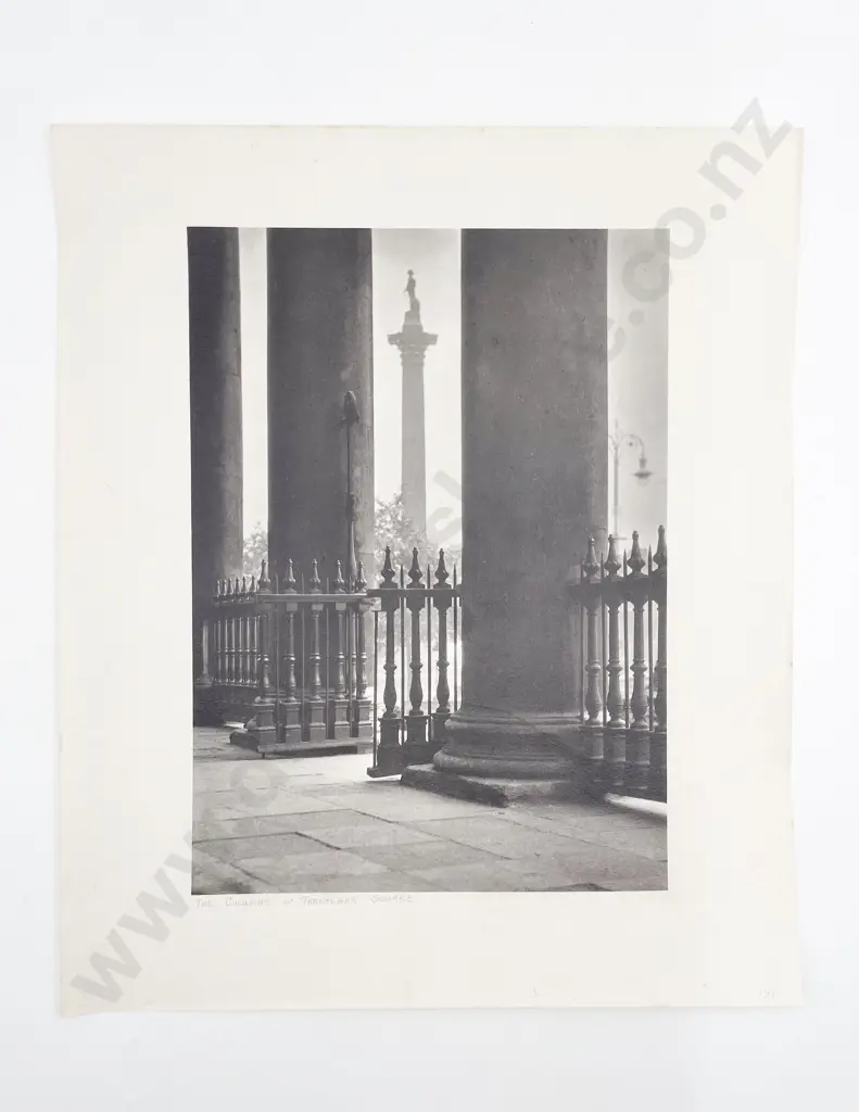 12 Large Photographic Print Various Studies some Passepartouts Image 1++