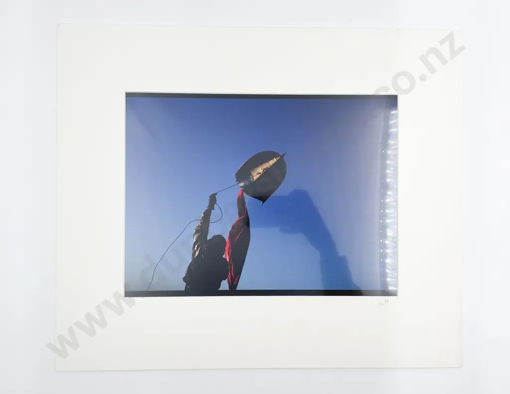 12 Large Photographic Print Various Studies some Passepartouts Image 1++