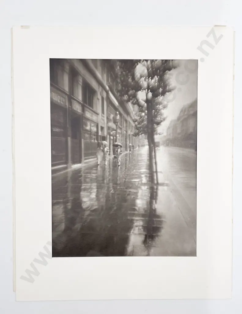 12 Large Photographic Print Various Studies some Passepartouts Image 1++