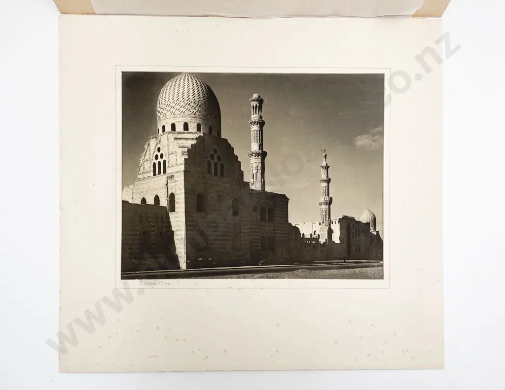 12 Large Photographic Print Various Studies some Passepartouts Image 1++