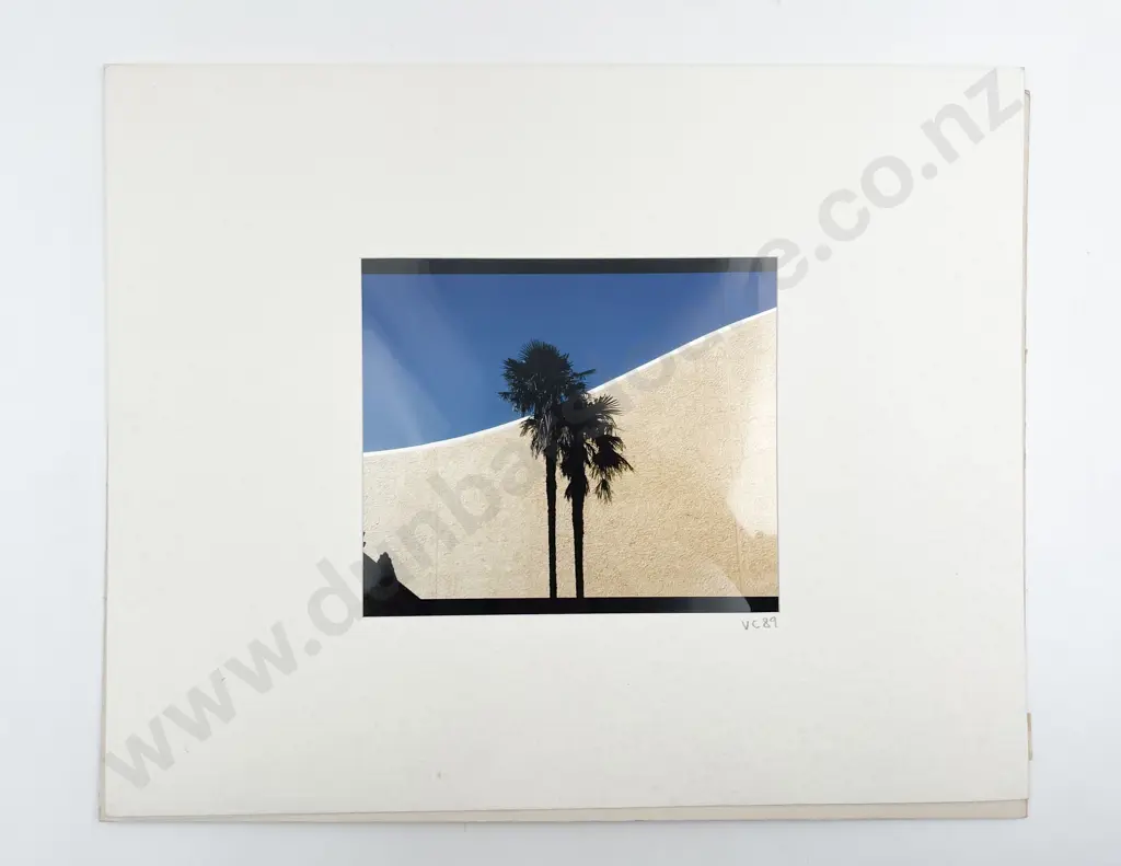 12 Large Photographic Print Various Studies some Passepartouts Image 1++