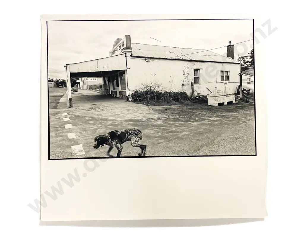Collection of Photographs by Sharyn Black Image 1++