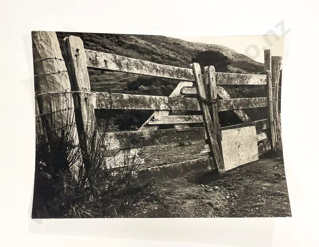 Collection of Photographs by Sharyn Black Image 1++