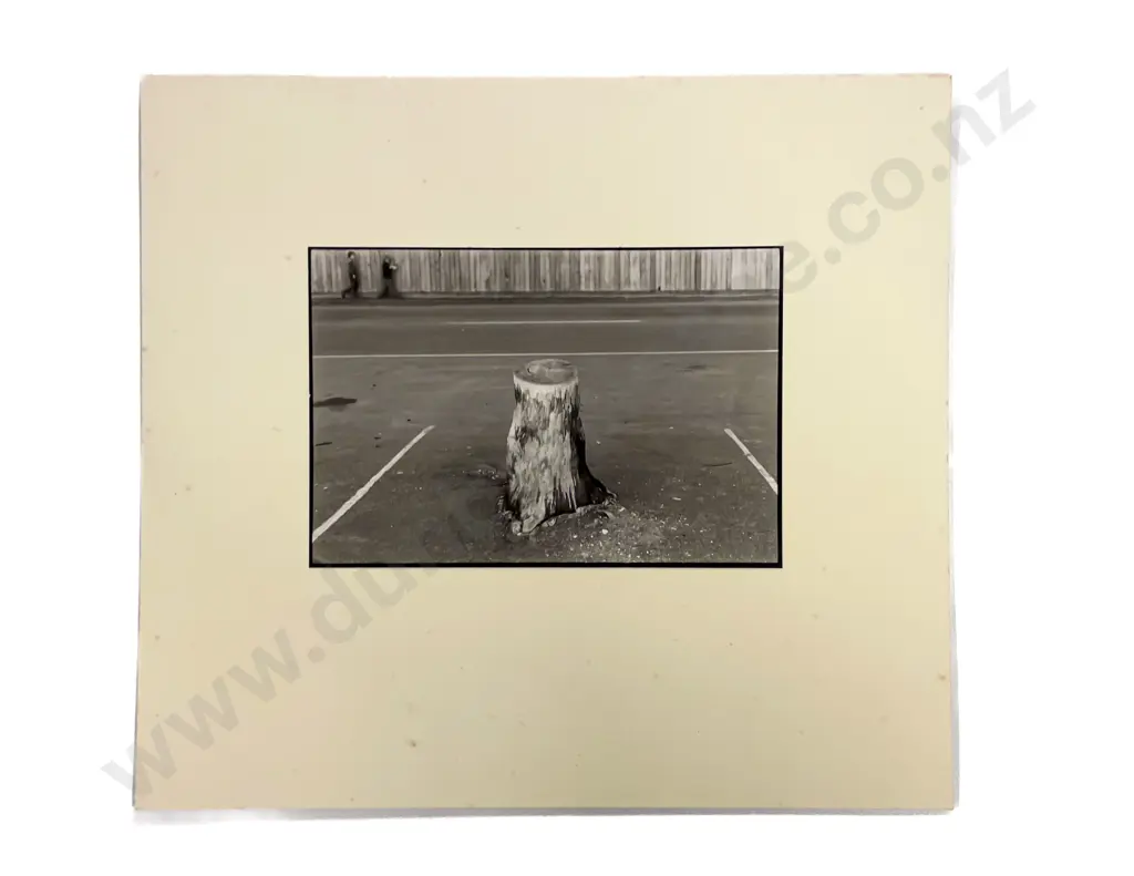 Collection of Photographs by Sharyn Black Image 1++