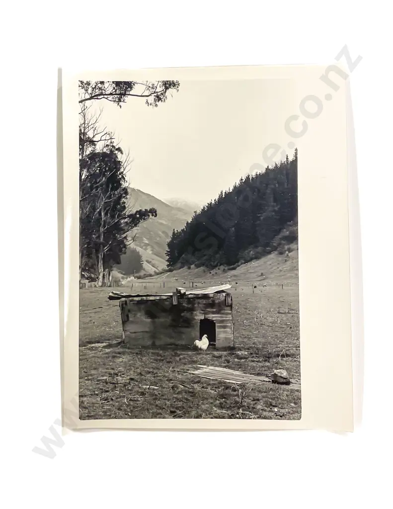 Collection of Photographs by Sharyn Black Image 1++