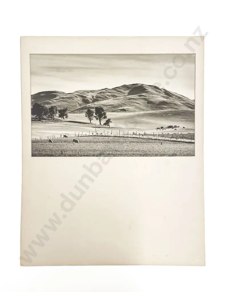 Collection Twelve Len. Casbolt Studio Landscape and Various Mounted on Card Image 1++