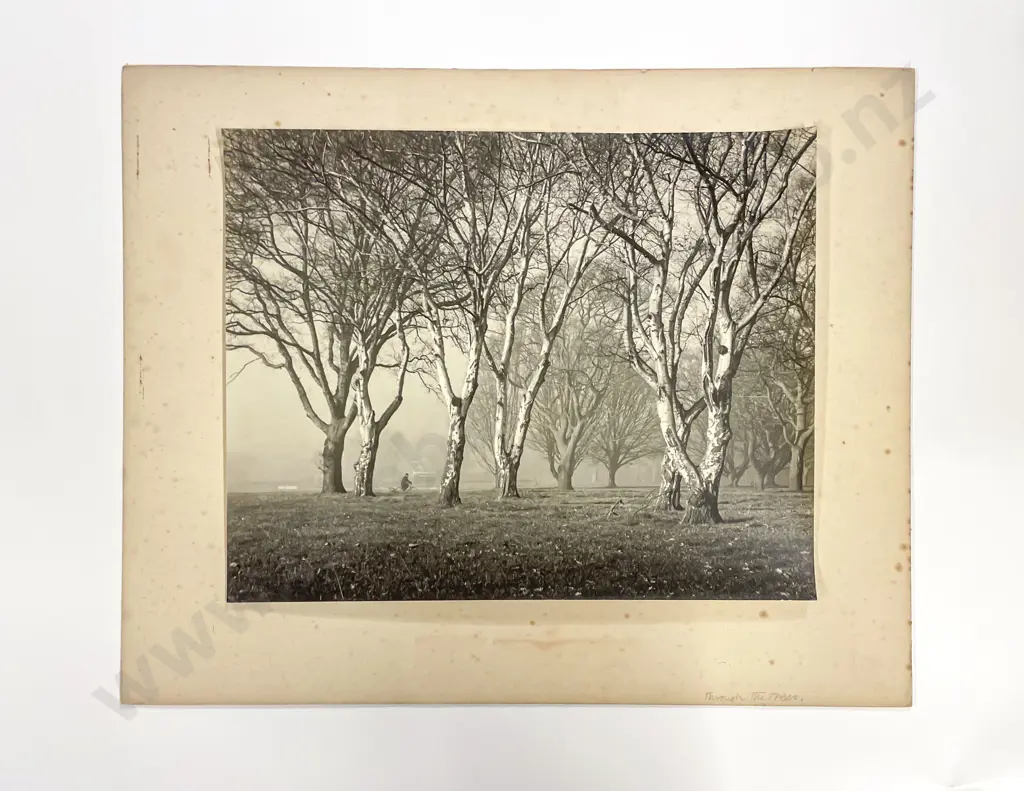 Collection Twelve Len. Casbolt Studio Landscape and Various Mounted on Card Image 1++