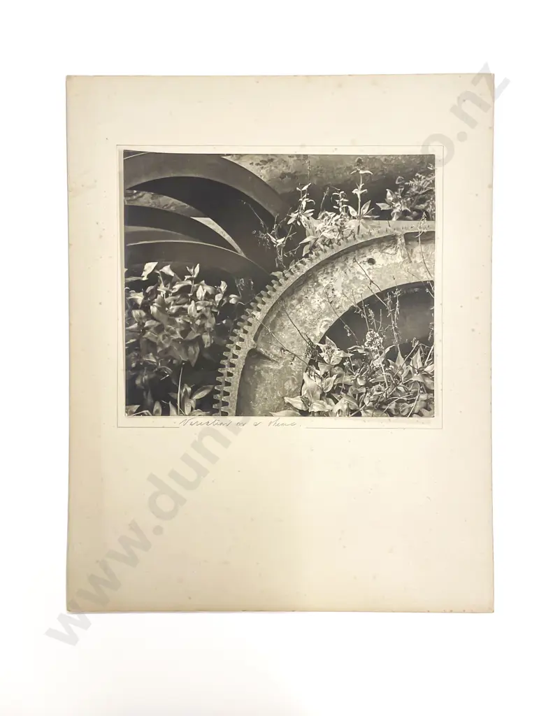 Collection Twelve Len. Casbolt Studio Landscape and Various Mounted on Card Image 1++
