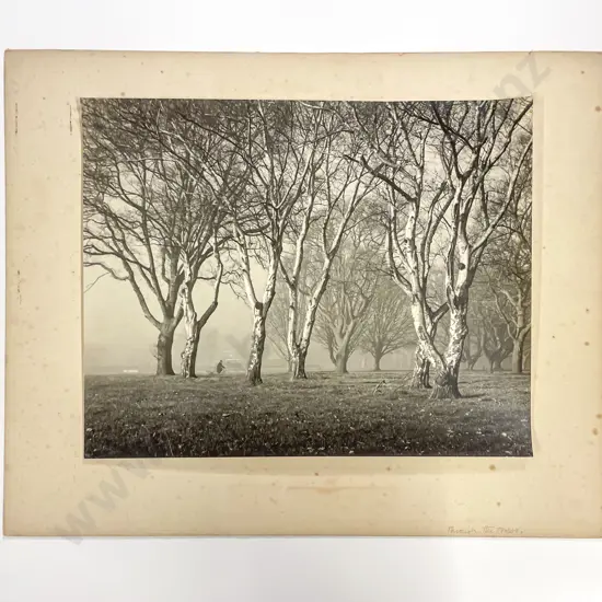 Collection Twelve Len. Casbolt Studio Landscape and Various Mounted on Card