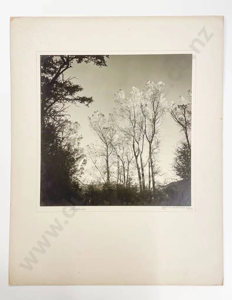 Collection Twelve Len. Casbolt Studio Landscape and Scenic Mounted on Card Image 1++