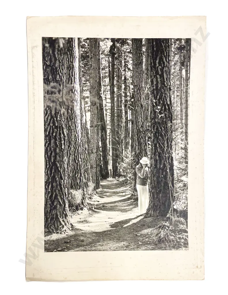 Collection Twelve Len. Casbolt Studio Landscape and Scenic Mounted on Card Image 1++
